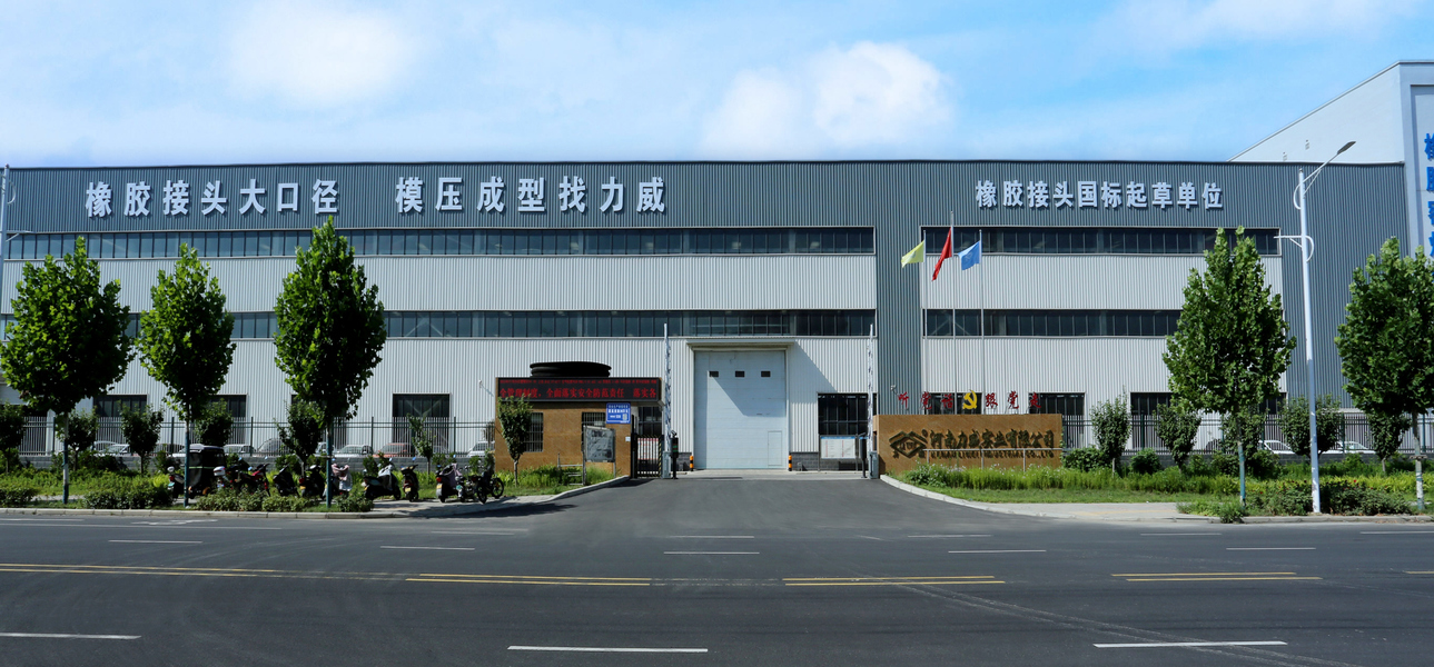 Henan Liwei Industry Co., Ltd. ligne de production du fabricant