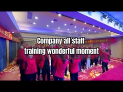 Équipe de société