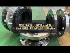 Partie de l'assemblage en caoutchouc de la bride en acier inoxydable